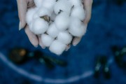 如何查詢微粒貸服務(wù)狀態(tài)？這種查詢方式有哪些注意事項(xiàng)？