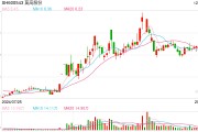 莫高股份收到上交所監管工作函