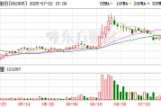 豐元股份：公司及控股子公司不存在逾期債務(wù)對應(yīng)的擔保