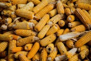 螺紋鋼中鎳的含量如何檢測？檢測螺紋鋼中鎳含量的方法有哪些？