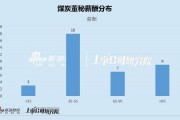大有能源董秘薪酬132萬行業TOP5 重大訴訟披露不及時領罰單
