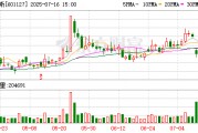 高價(jià)車型助力 賽力斯上半年歸母凈利大增