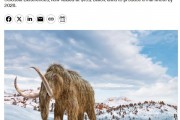 不可思議！美國一公司宣布復(fù)活猛犸象等史前生物：科學(xué)家擔(dān)憂