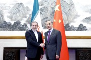 王毅同伊朗外長阿拉格齊會談