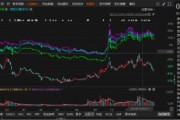 金圓股份涉嫌信息披露違法違規被立案