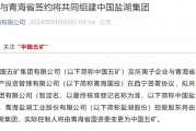 大重組！“中國神湖”起航 鹽湖資源整合或加速推進