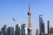 “光PPT就做了上百頁”！上海三大產業先導基金再出手17只子基金