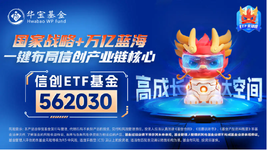 超百億主力資金狂涌！信創(chuàng)ETF基金（562030）一度上探4．2%，恒生電子盤(pán)中觸板，機(jī)構(gòu)：板塊或迎三大拐點(diǎn)