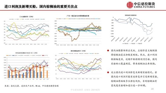 【月度策略】生物燃料前景擔(dān)憂施壓油脂，關(guān)注印尼棕櫚油賣貨情況