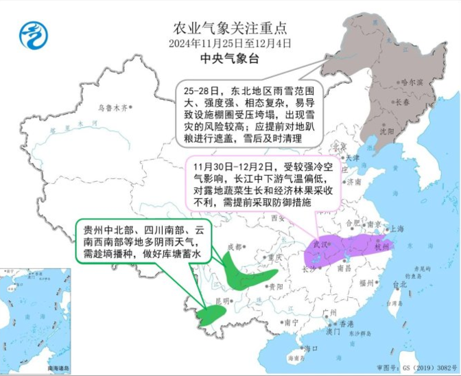玉米：反復探底