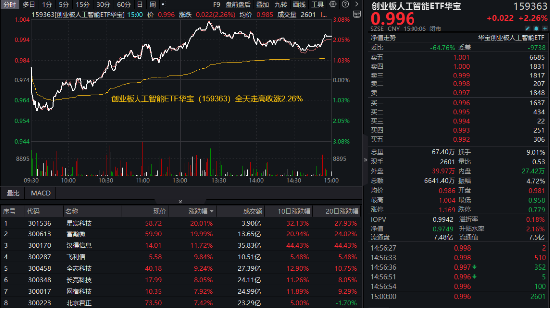 豆包重磅更新，AI繼續(xù)猛攻！星宸科技、富瀚微20CM漲停，創(chuàng)業(yè)板人工智能ETF華寶（159363）收漲超2%領(lǐng)跑同類