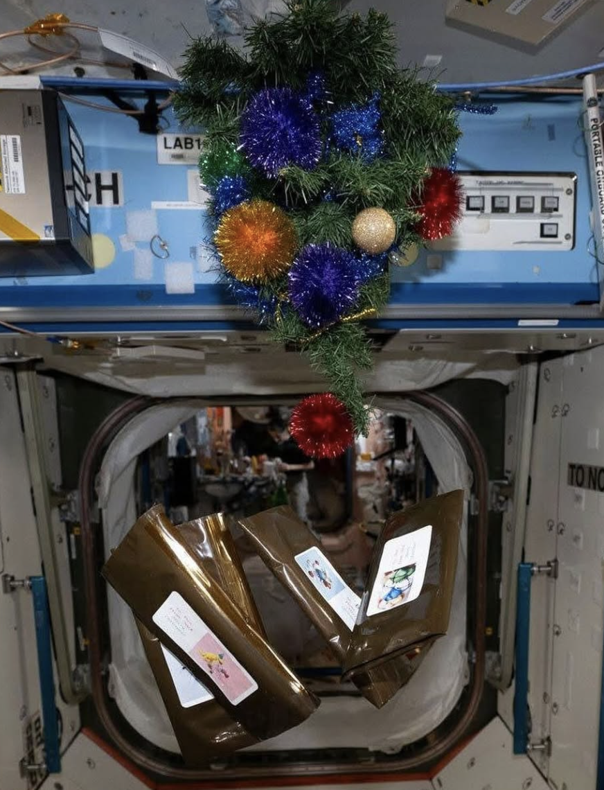 “一場大秀”？外媒：滯留太空美宇航員慶祝圣誕節照片引網友質疑，NASA回應