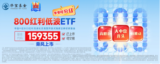 資產荒+跨年窗口，把握高確定性低波紅利，全市場唯一800紅利低波ETF（159355）標的基日以來年化收益超16%