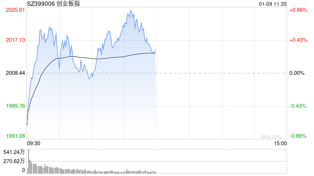 午評：創指震蕩反彈漲0.3% AI、算力方向強勢爆發