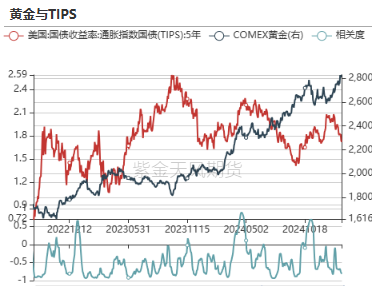 黃金：到底在漲什么?