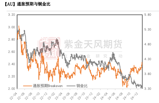 黃金：到底在漲什么?