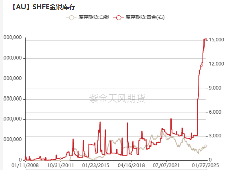 黃金：到底在漲什么?